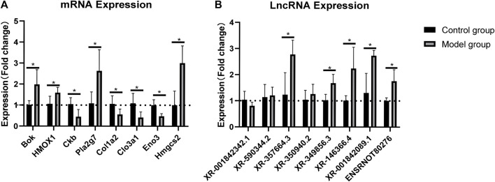 Rna Sequencing Of Cardiac In A Rat Model Uncovers Potential Target 