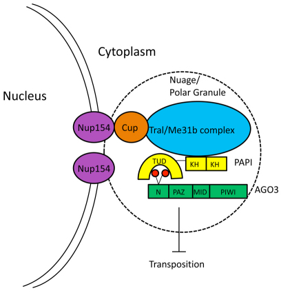 Fig. 7.