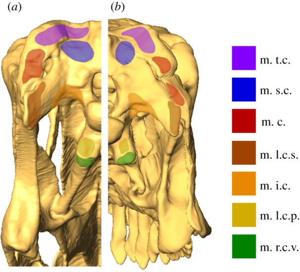 Figure 2.