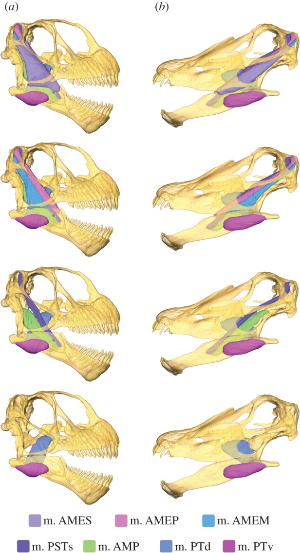 Figure 1.