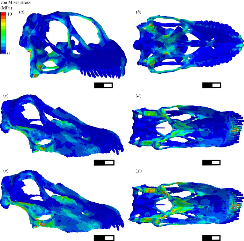 Figure 3.