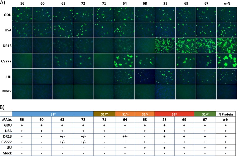 FIG 6