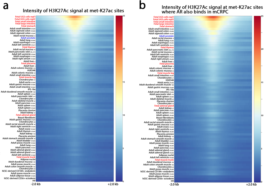 Extended Data Fig. 5: