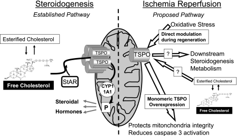 Fig. 10.