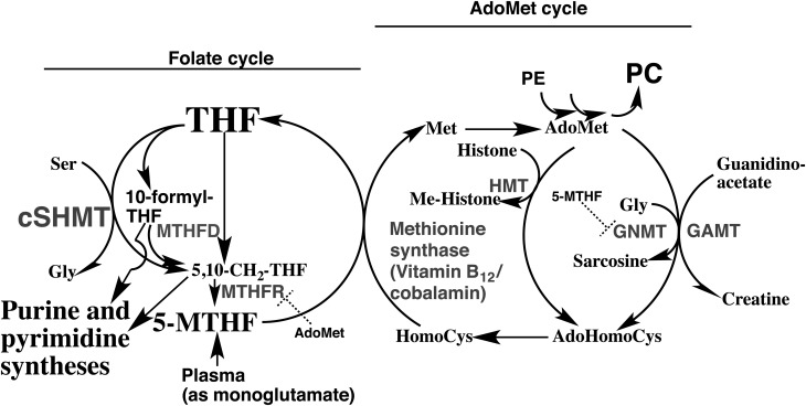 Fig. 5