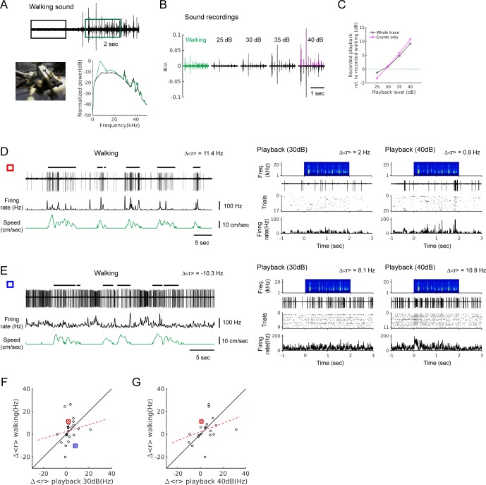 Figure 1—figure supplement 1.