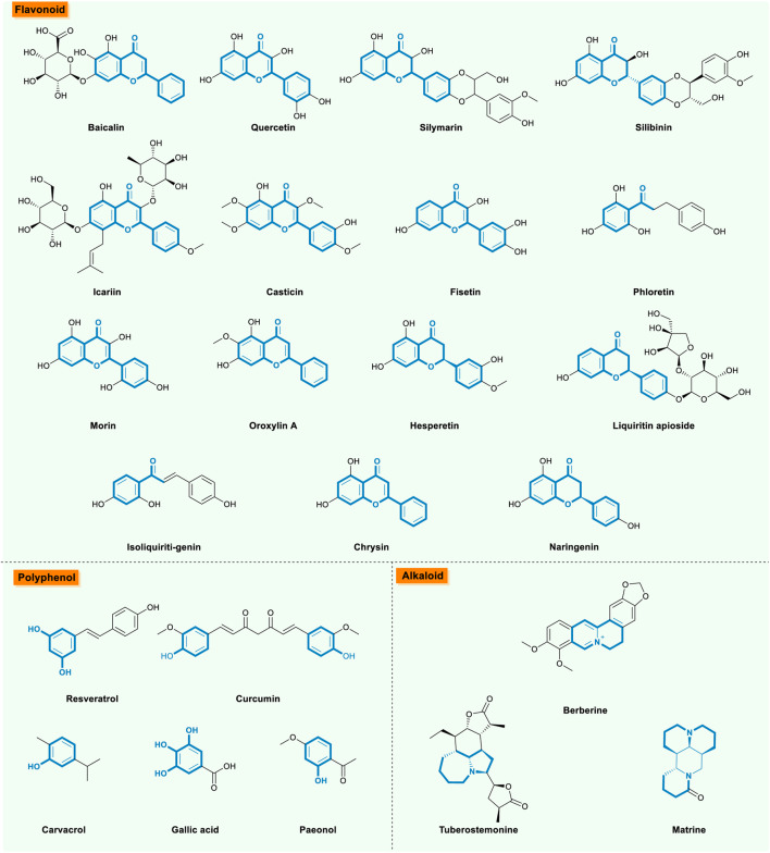 FIGURE 4