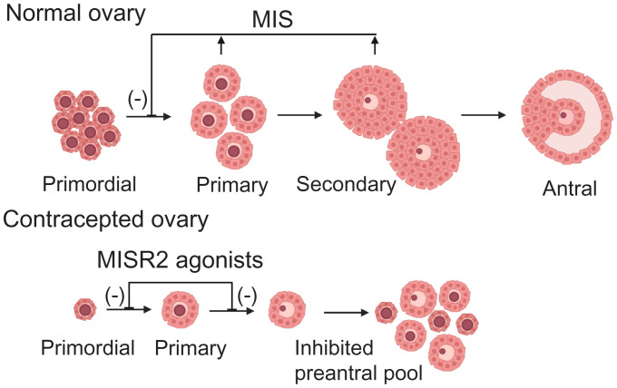 Fig. 1.