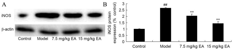 Figure 5.