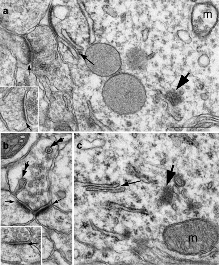 Fig. 9