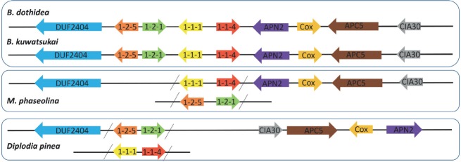 Fig. 4.