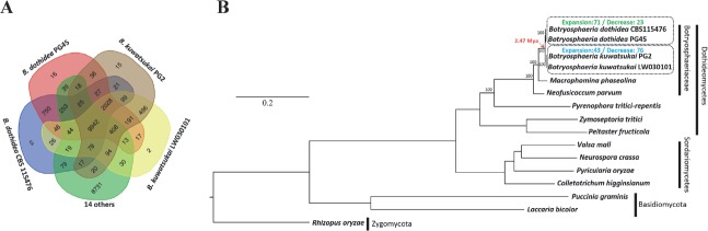 Fig. 3.