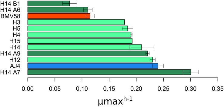 FIGURE 1