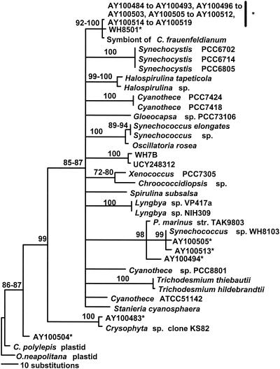 FIG. 2.