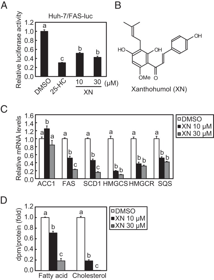 FIGURE 1.