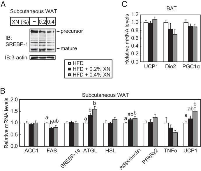 FIGURE 12.