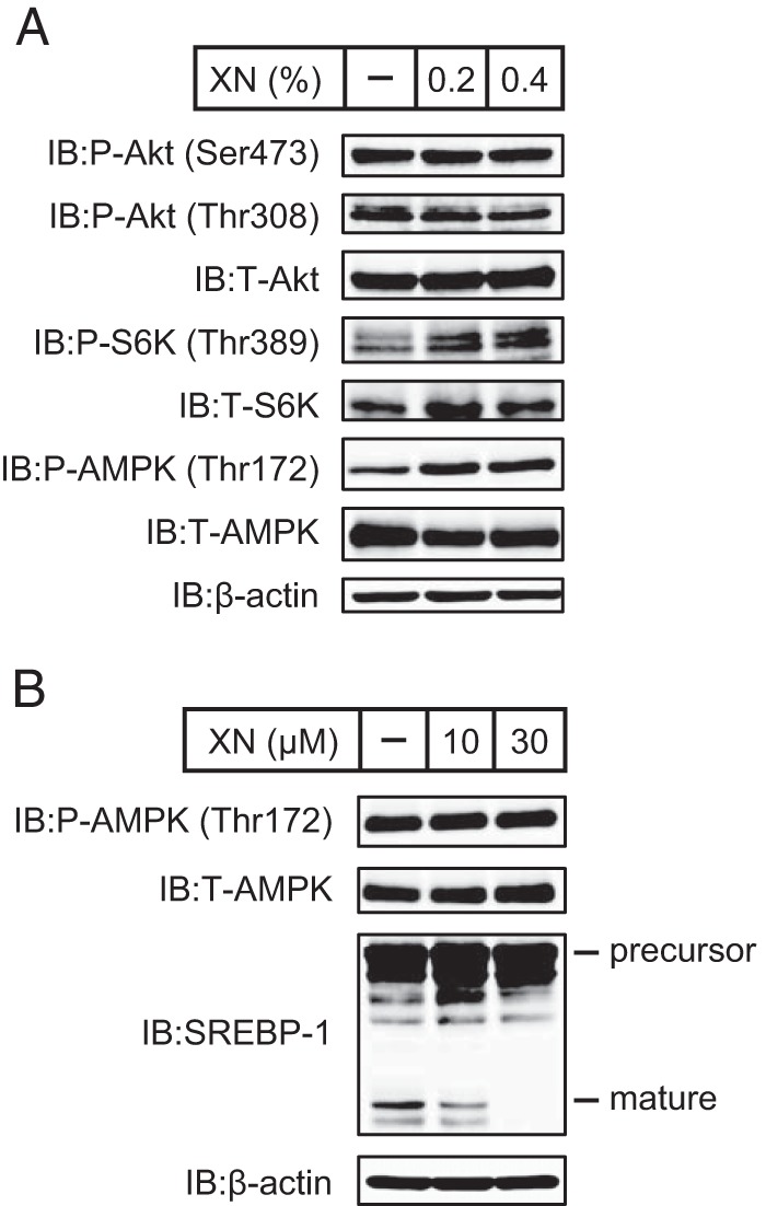 FIGURE 10.