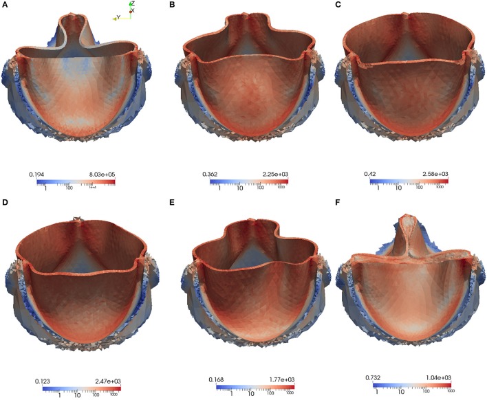 Figure 13