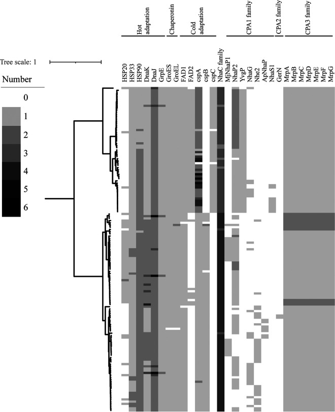 FIG 4