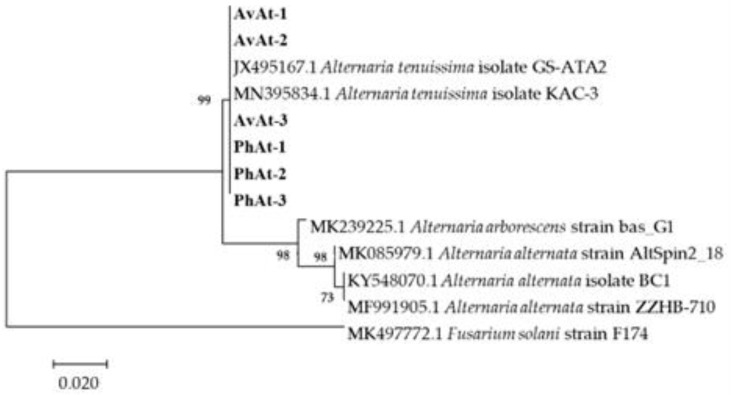 Figure 5