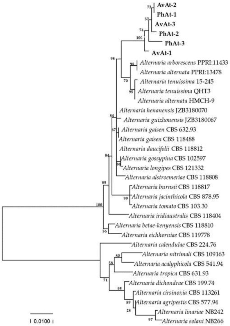 Figure 4
