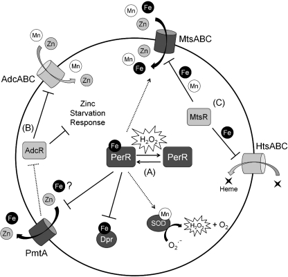 FIG. 6.