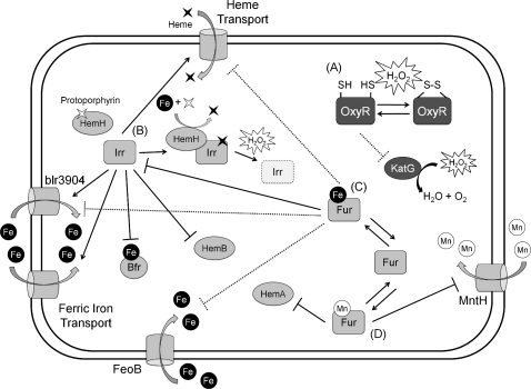 FIG. 7.