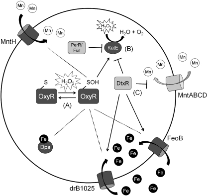 FIG. 4.