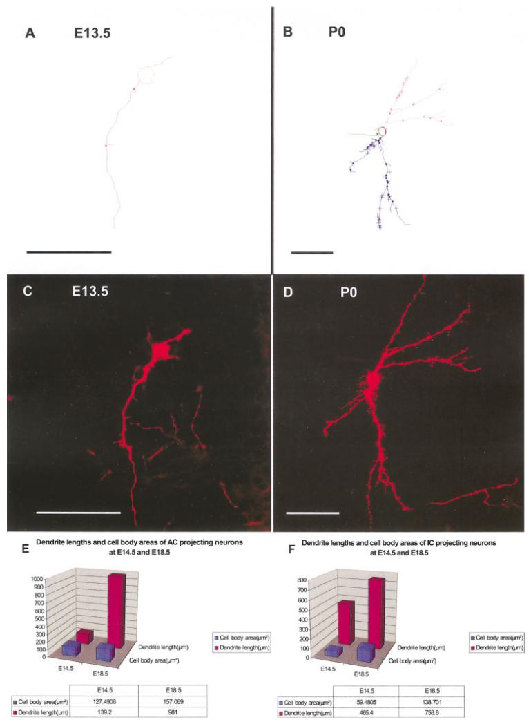 Fig. 10