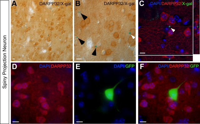 Figure 5.