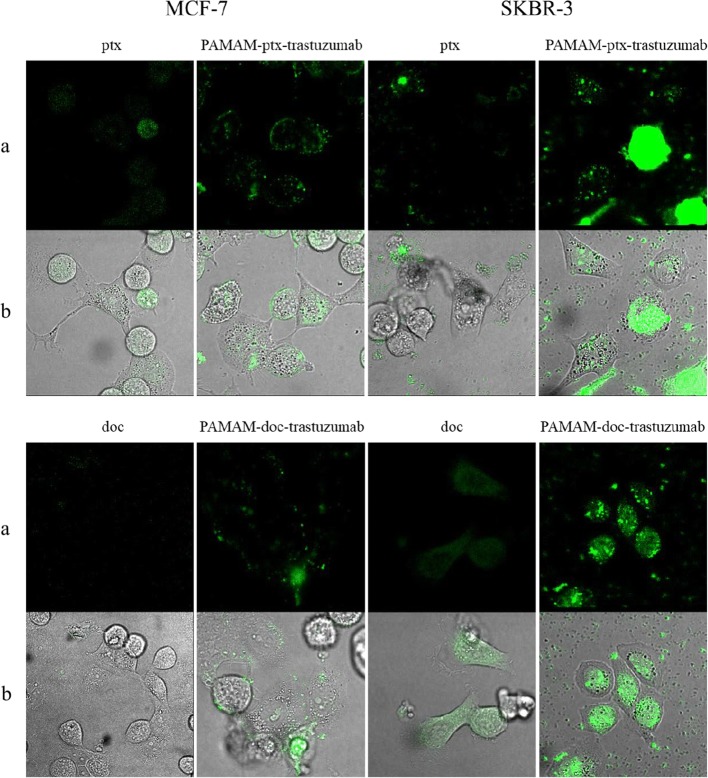 Fig. 12