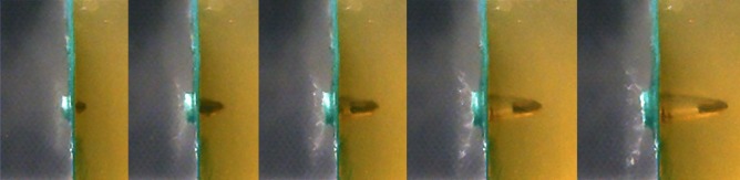 Fig.  1