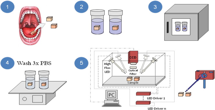 Figure 1