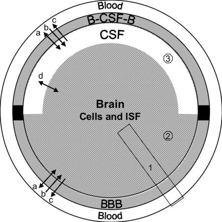 FIG. 1.