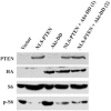 FIG. 11.