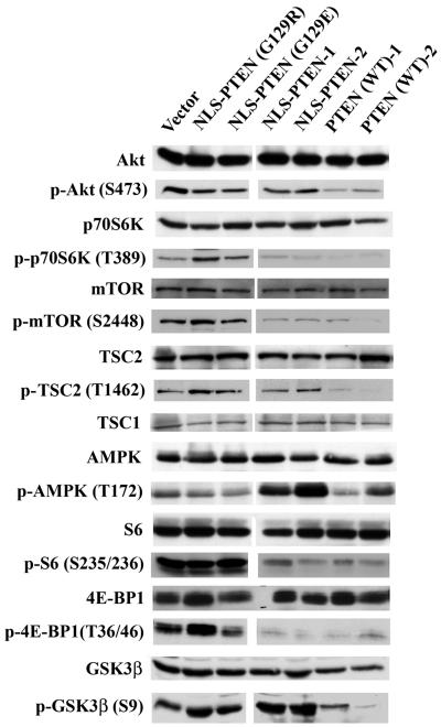 FIG. 9.