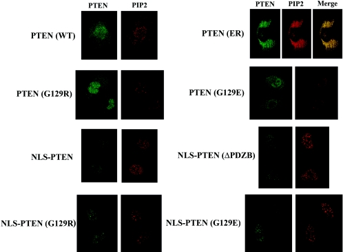 FIG. 8.