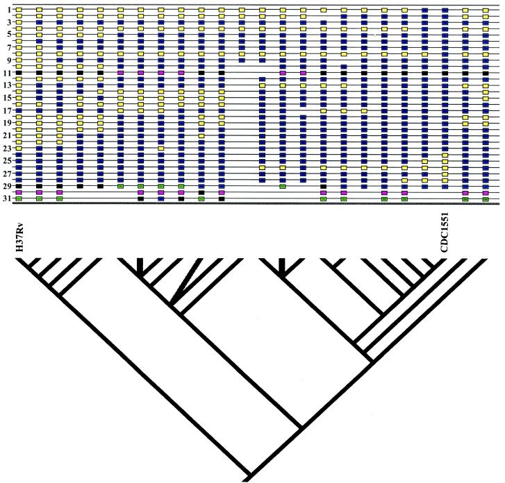 FIG. 4.