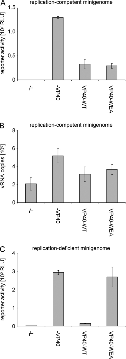 FIG. 6.