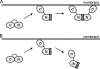 FIG. 7.