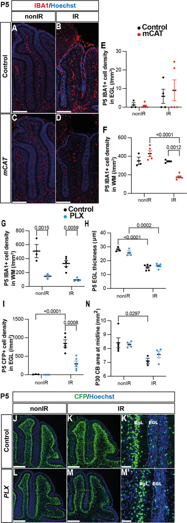 Figure 6: