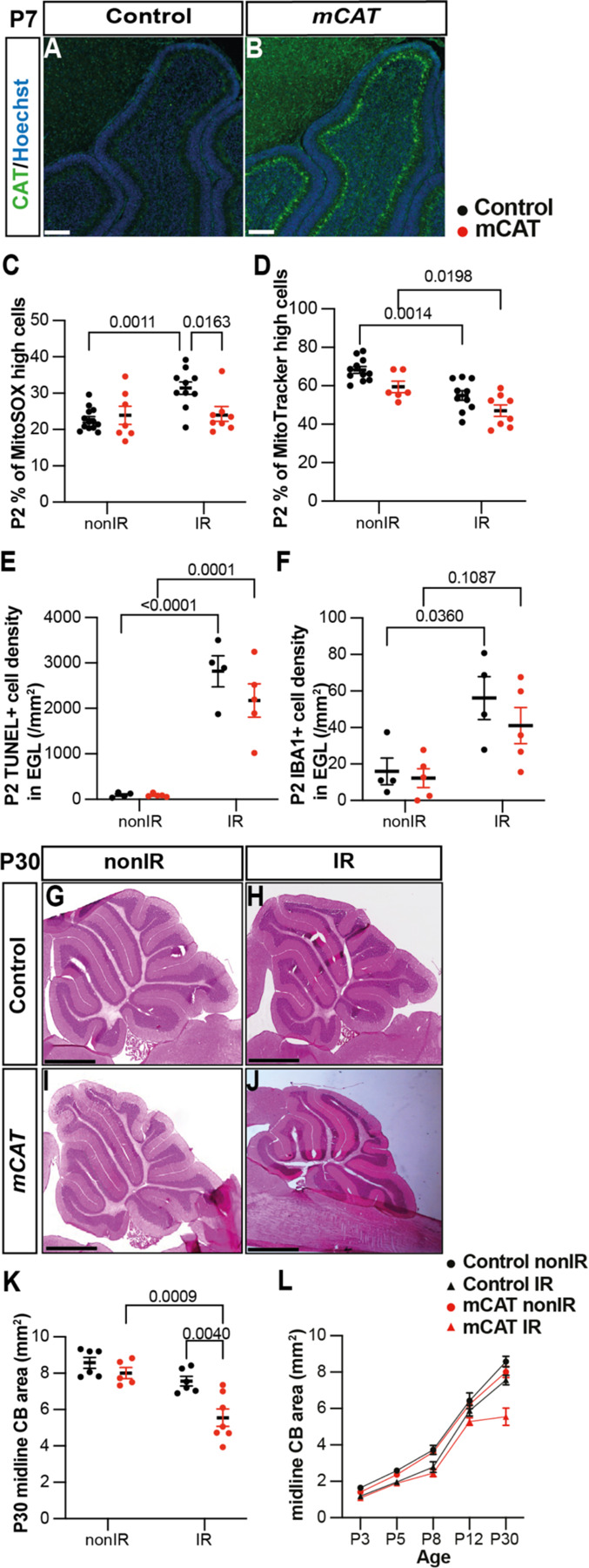 Figure 4: