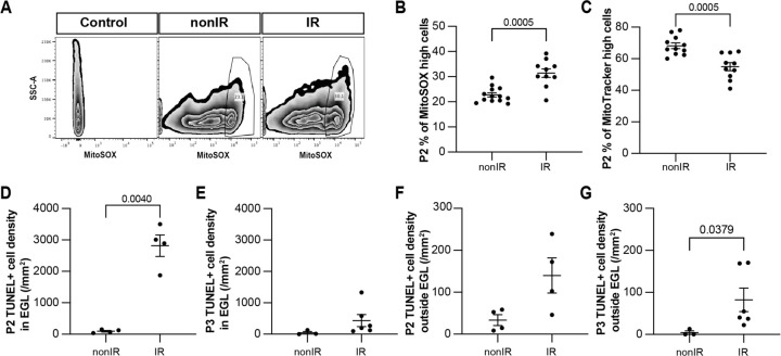 Figure 2: