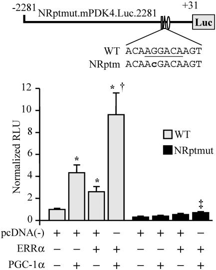 FIG. 5.