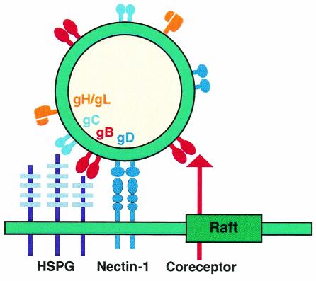 FIG. 10.