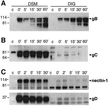 FIG. 9.