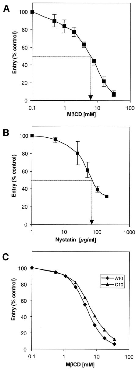 FIG. 1.