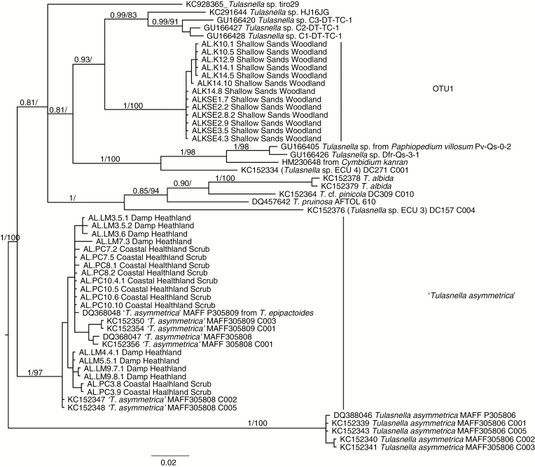 Fig. 3.