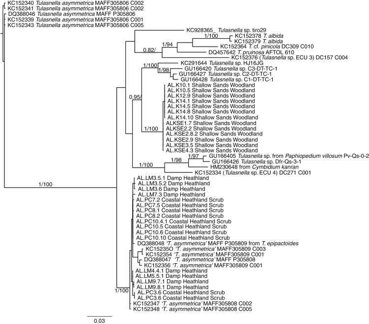 Fig. 4.