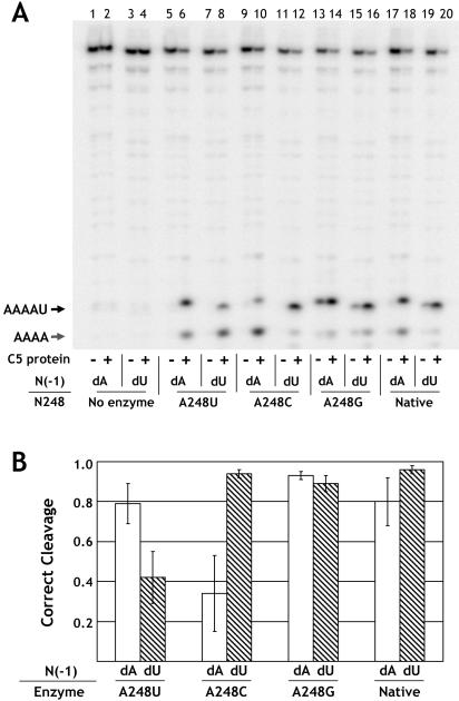 FIGURE 7.